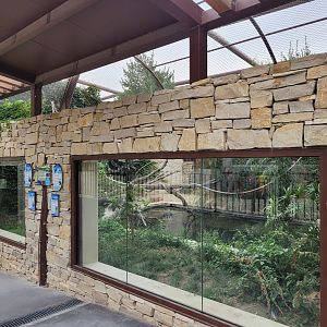 American alligator and African bird aviary -Réserve Africaine de Sigean (2022)