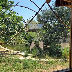 Bolivian squirrel monkey, American alligator and Red-eared slider exhibit -Réserve Africaine de Sigean (2022)