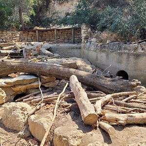 Cape porcupine exhibit -Réserve Africaine de Sigean (2022)