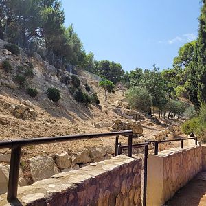 Barbary sheep exhibit -Réserve Africaine de Sigean (2022)