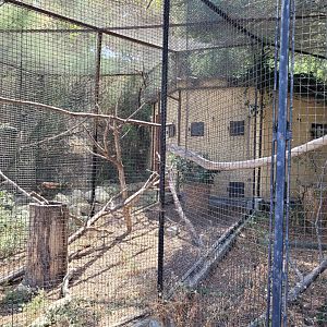 Violet turaco exhibit -Réserve Africaine de Sigean (2022)