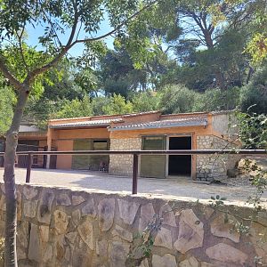 European mouflon exhibit -Réserve Africaine de Sigean (2022)