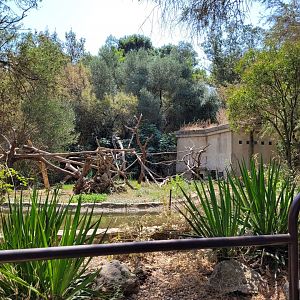 Blue-and-gold, Scarlet, Military and Green-winged macaw exhibit -Réserve Africaine de Sigean (2022)