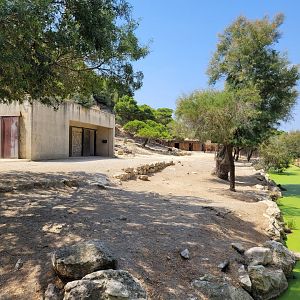 Greater kudu exhibit -Réserve Africaine de Sigean (2022)