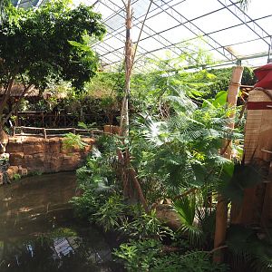 Oasis - White-faced saki island, 2022-06-28