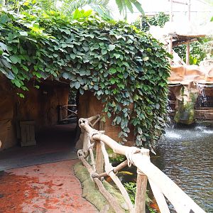 Oasis - Lower area with small exhibits and viewing of saki island, 2022-06-28