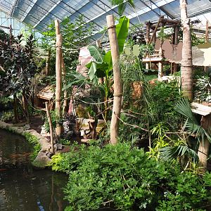 Oasis - White-faced saki island, 2022-06-28