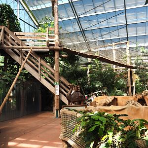 Oasis - View with one of the entrances, access to adventure bridge and Large hairy armadillo exhibit, 2022-06-28