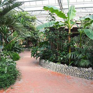 Oasis - Walkway, 2022-06-28