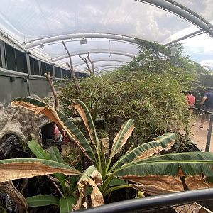 Tropical House 040822