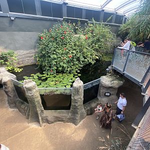 Tropical House 040822