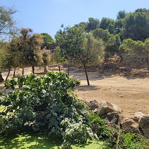 Greater kudu exhibit -Réserve Africaine de Sigean (2022)