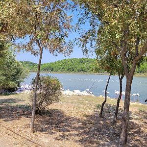 Oeil de Ca view -Réserve Africaine de Sigean (2022)