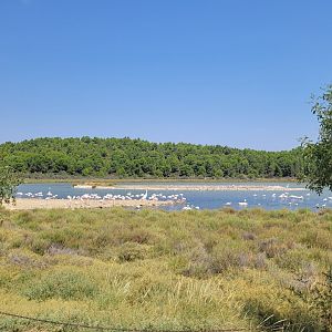 Oeil de Ca view -Réserve Africaine de Sigean (2022)