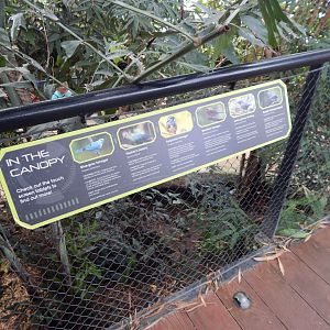 Tropical House signage 040822