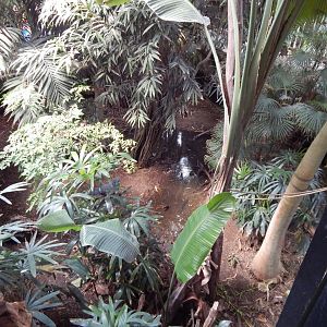 Tropical House 040822