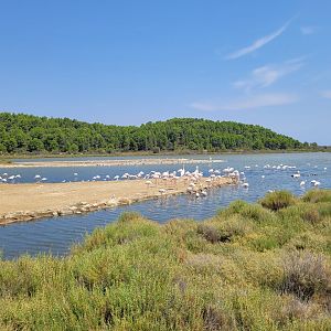 Oeil de Ca view -Réserve Africaine de Sigean (2022)