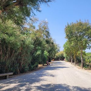 Pathway to the giraffes -Réserve Africaine de Sigean (2022)