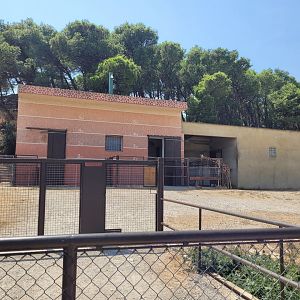 Reticulated giraffe exhibit -Réserve Africaine de Sigean (2022)