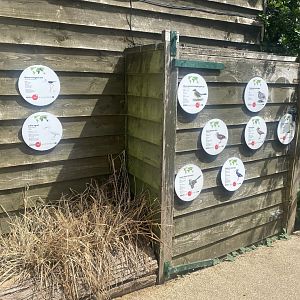 Walkthrough Aviary signage 040822