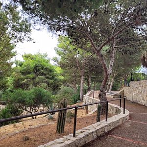 View -Réserve Africaine de Sigean (2022)