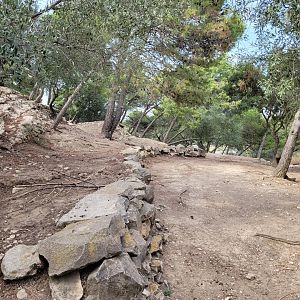 Bennett's wallaby exhibit -Réserve Africaine de Sigean (2022)