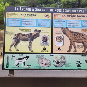 Hyena and wild dog comparation sign -Réserve Africaine de Sigean (2022)