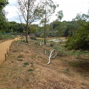 Wallaby Walkthrough 040822