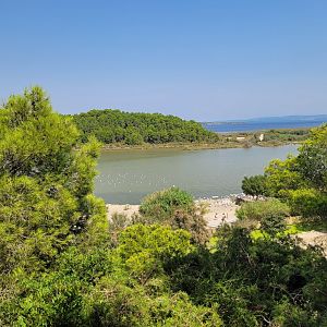 View -Réserve Africaine de Sigean (2022)