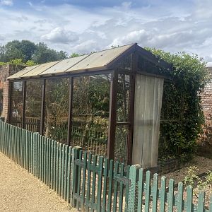 Red-tailed laughingthrush aviary 040822