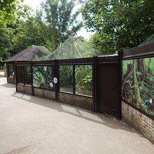 Binturong enclosure 040822