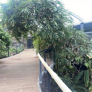 Tropical House 040822