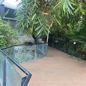 Tropical House 040822