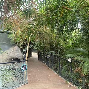 Tropical House 040822