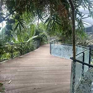 Tropical House 040822