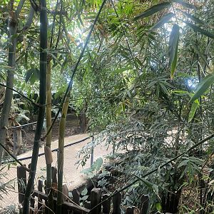 Tropical House 040822