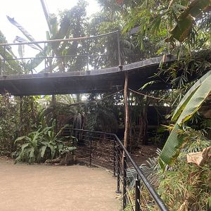 Tropical House 040822