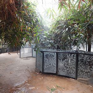 Tropical House 040822