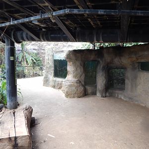 Tropical House 040822