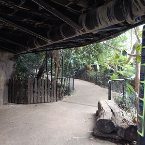 Tropical House 040822