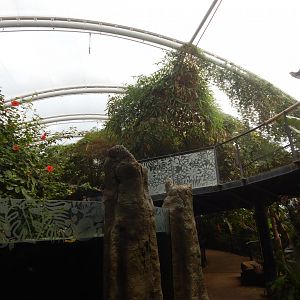 Tropical House 040822