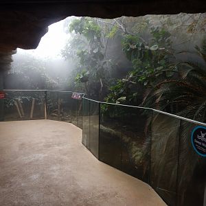 Tropical House - Crocodile monitor exhibit 040822