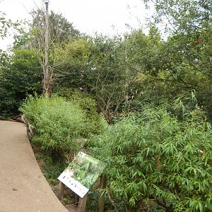 Walkthrough Aviary 040822