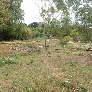 Wallaby Walkthrough 040822