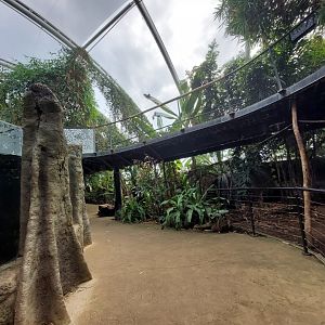 Tropical House 040822