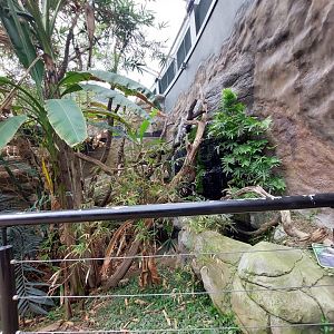 Tropical House 040822