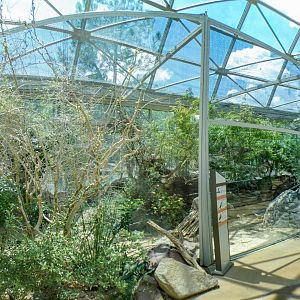 Aug. 2022 - The Desert - Roadrunner + Burrowing Owl + White-headed Buffalo Weaver Exhibit