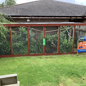 Tawny Frogmouth Aviary at Northumberland College Zoo (2020)