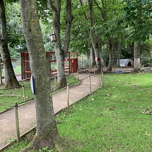 Wallaby Walkthrough Enclosure at Northumberland College Zoo (2020)