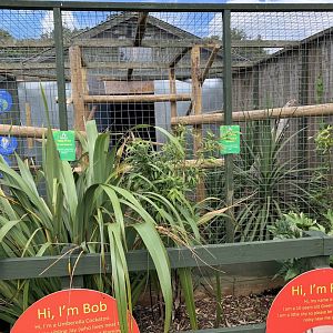 Parrot Aviary at Northumberland College Zoo (2020)